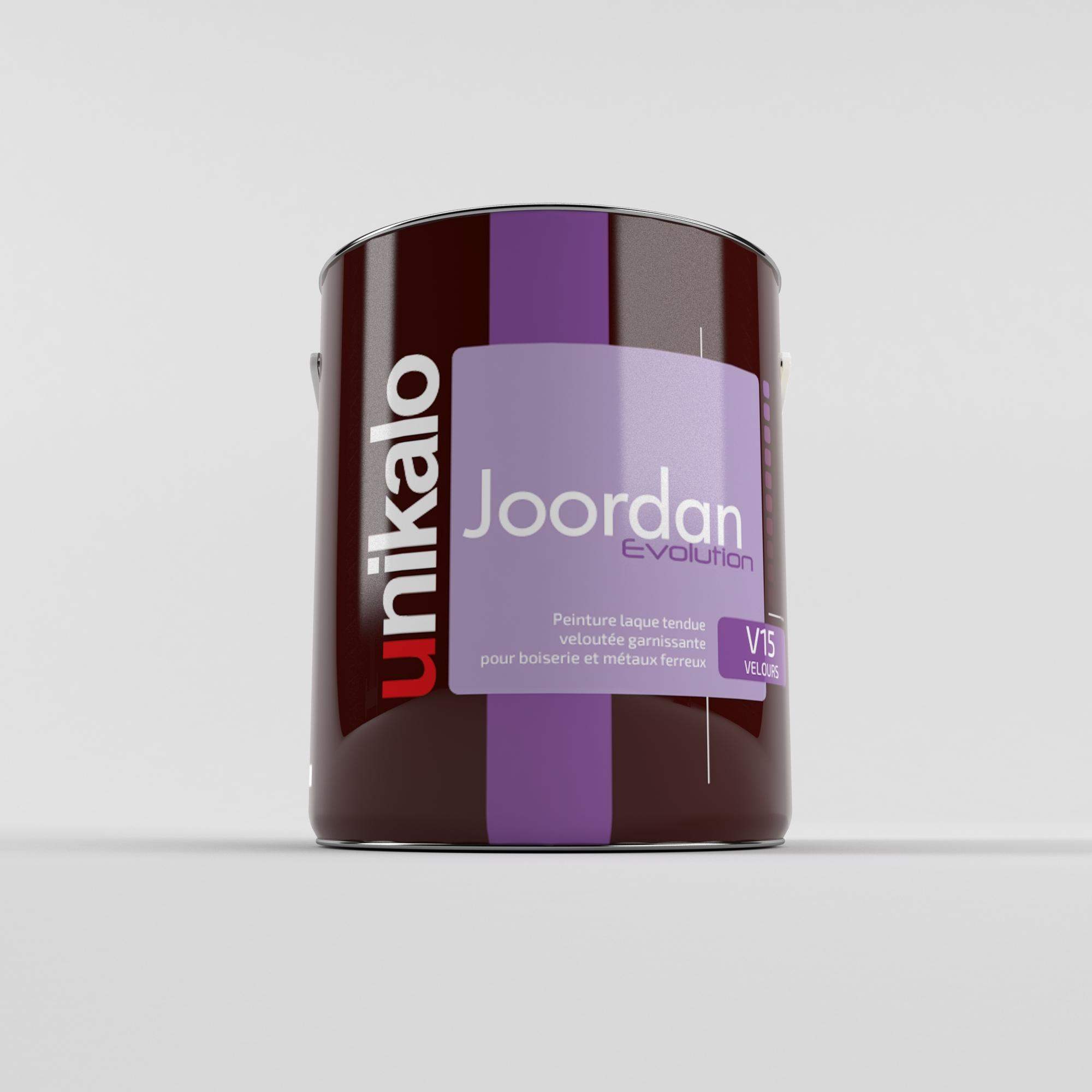 PEINTURE JOORDAN V15 EXTRA BLANC 0.75 L — photo 1