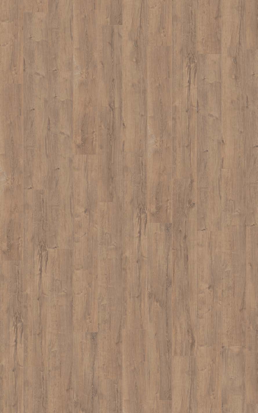 Sol stratifié WELSH OAK — photo 1
