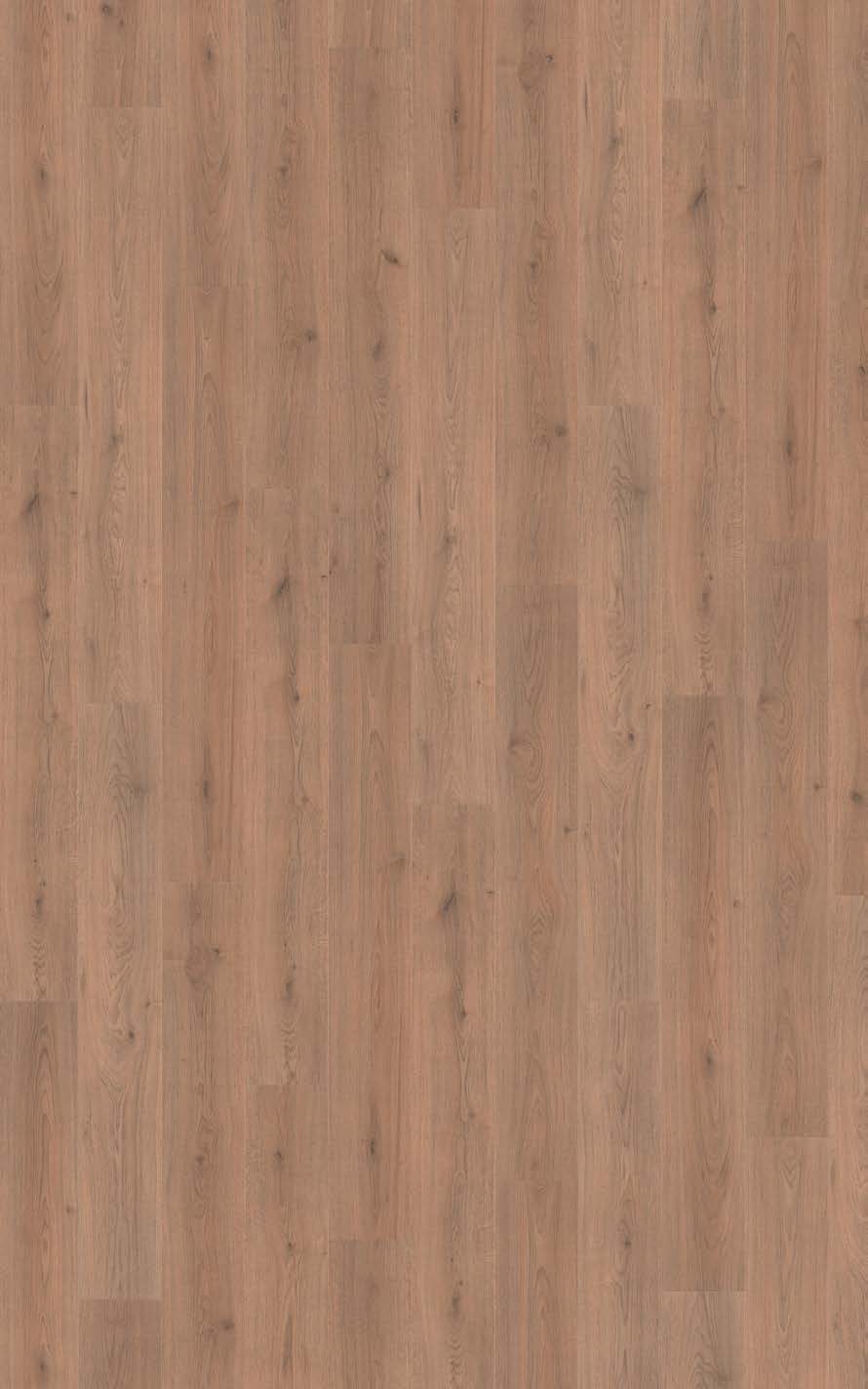 Sol stratifié TREND OAK BROWN — photo 1